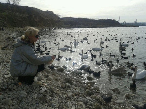 Екатерина Полозова