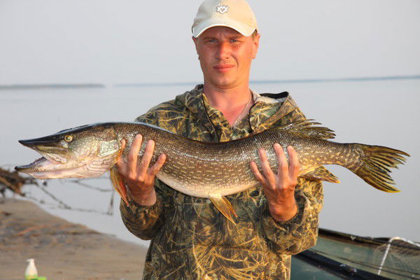 Андрей Бедник