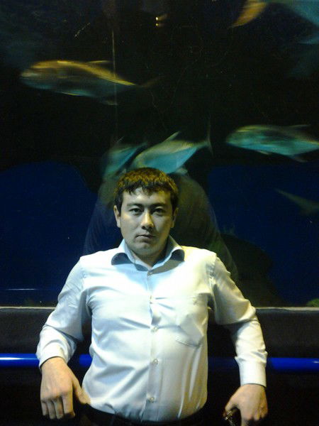 Акоша Байсалдин