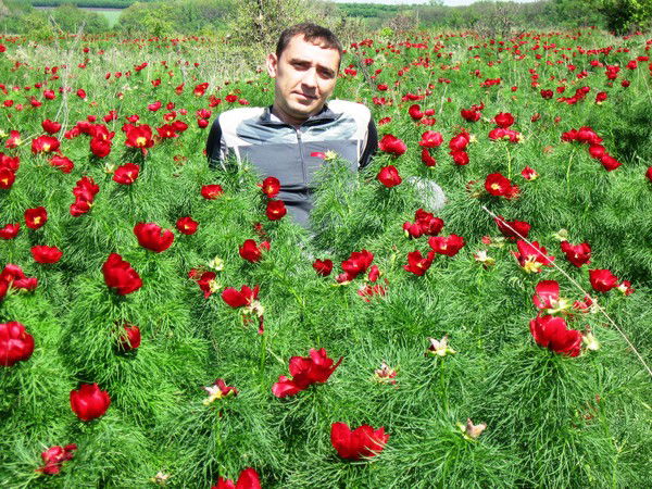 Константин Артёменко