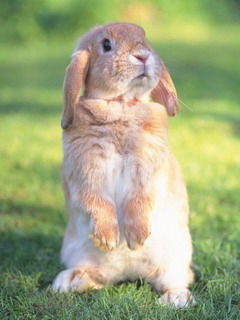 Валерий Зайцев