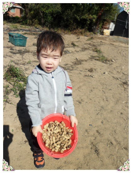 마마노바 가르가스