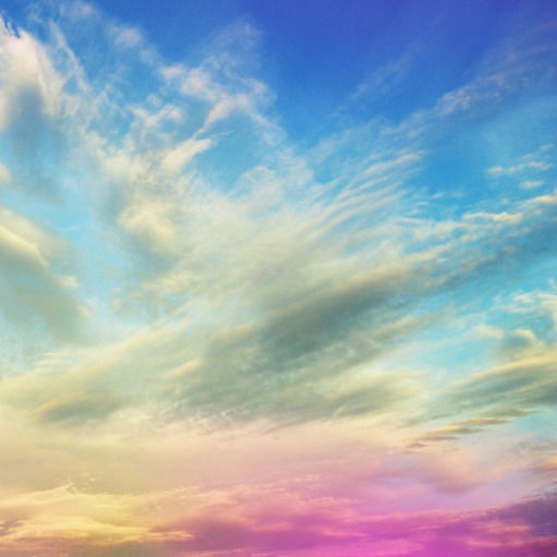 Лариса Школа