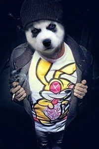 Денис Данилович