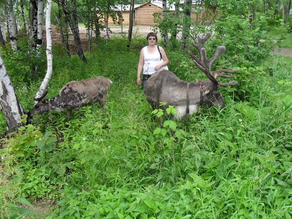 Валентина Пестова