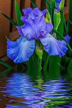 Галина Раимбекова