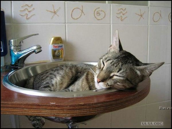 Игорь Грудский