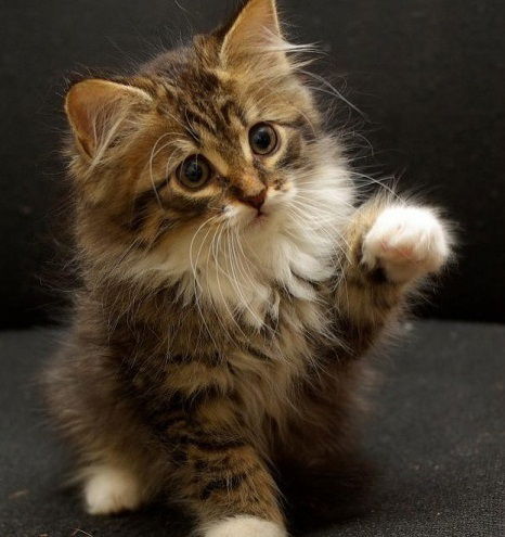 Андрей Смирнов