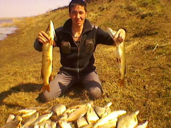 Жанибек Хасенов