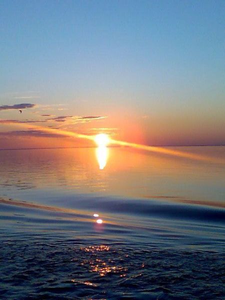 Илья Дорондов