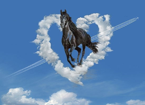 Наталья Сан