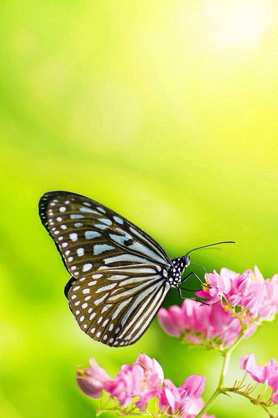 Наталья Матвеева