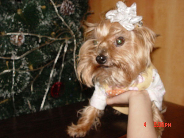 Лена Берестнева