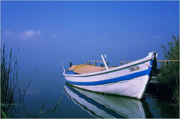 Придунайская Нива