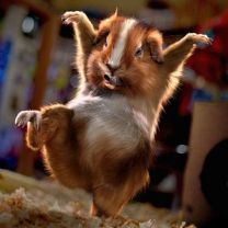 Ваня Ткаченко