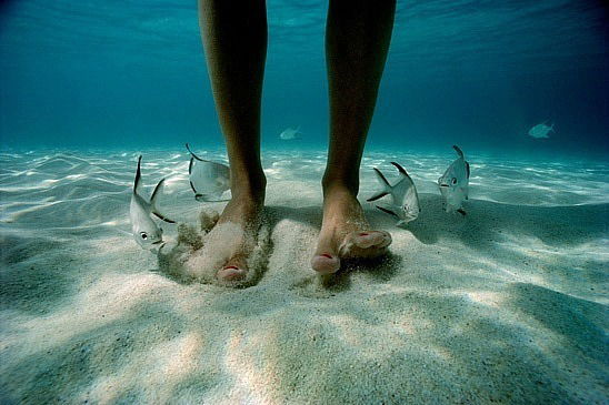 Мария Савчик