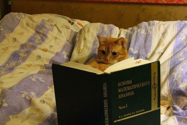 Елена Сейткасымова (Стогниева)