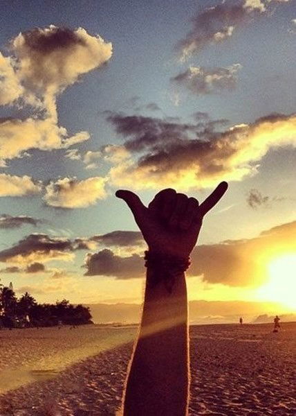 Анна Меркушева