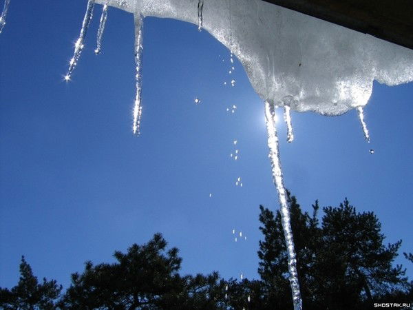 Сайаана Сыромятникова