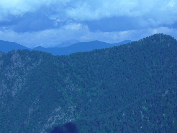 Надежда Кузнецова