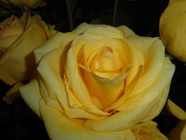 Ирина Валяева