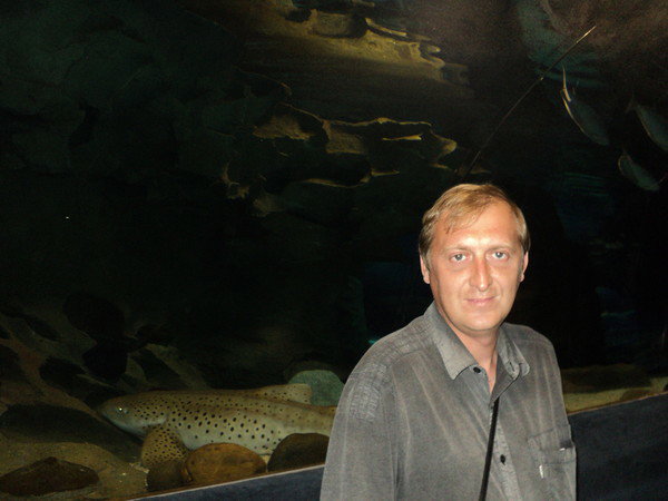 Дмитрий Маер