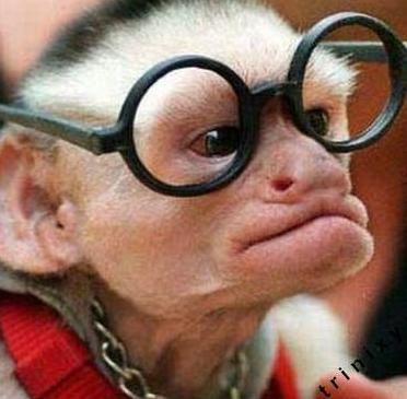 Юрий Еадокимов