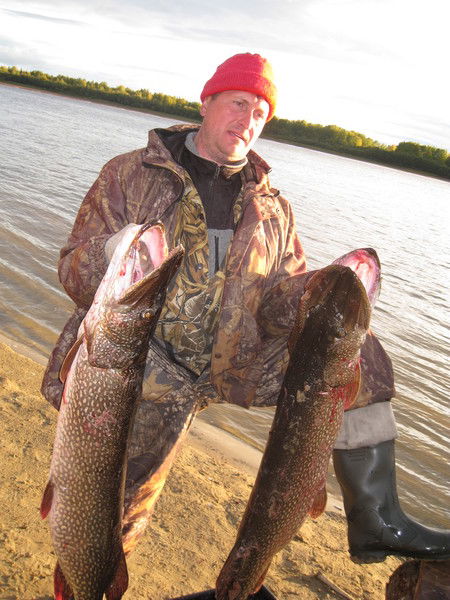 Олег Мациевский