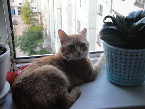 Олег Арбузов