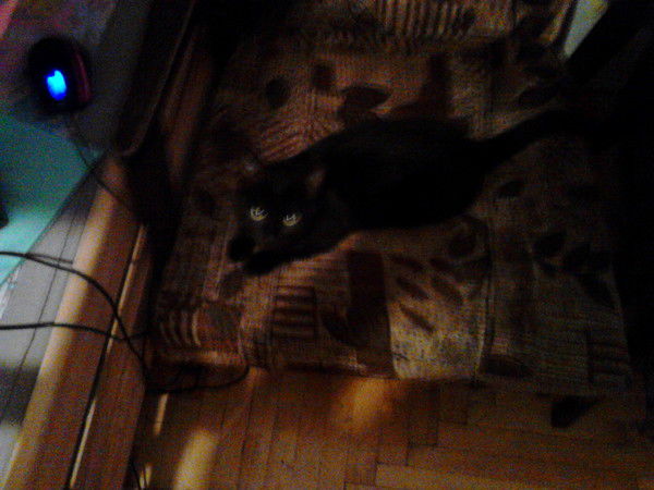 Амина Глазырина