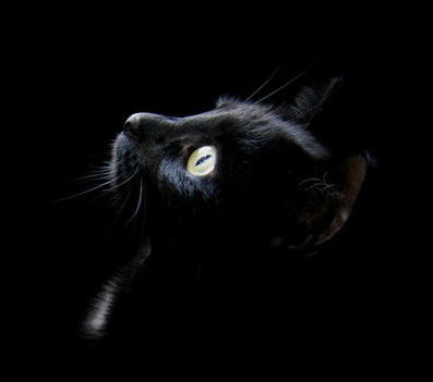 Светлана Склярова