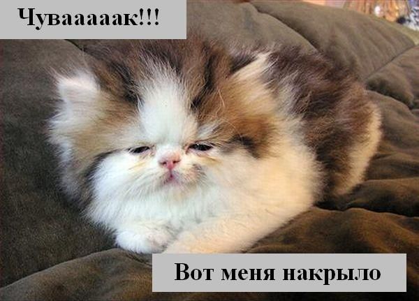 Евгений Молчанов