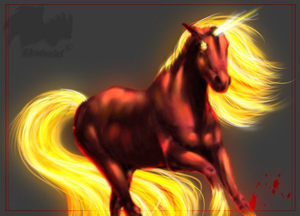 Варвара Краса