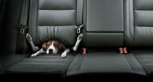 Василий Беседин