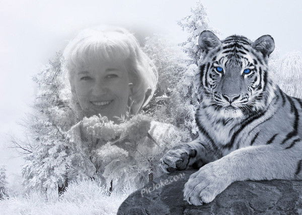 Татьяна Макаренко