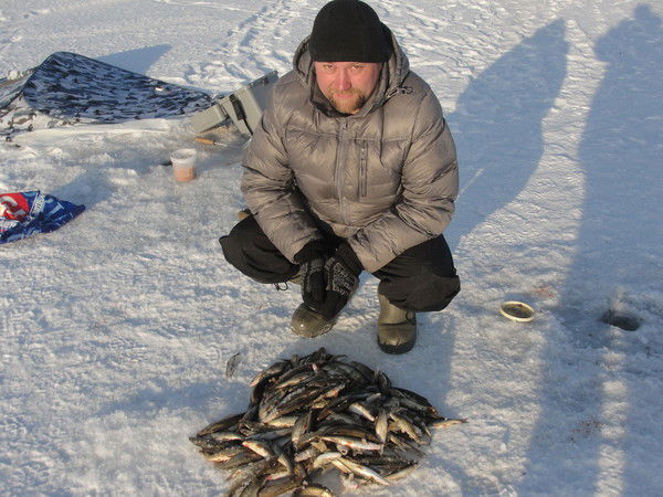 Максим Чекмышев