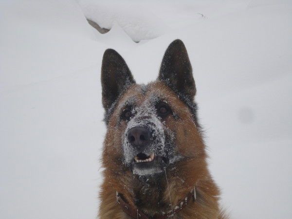 Галина Иванова