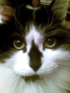 Елена Федосеева