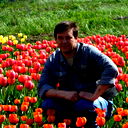 Владимир Янель