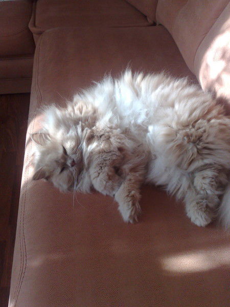 Наталья Колистратова