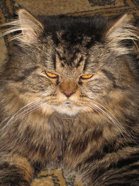 Валентина *******