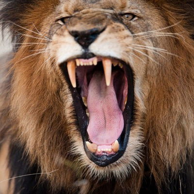 Дмитрий Иванюк