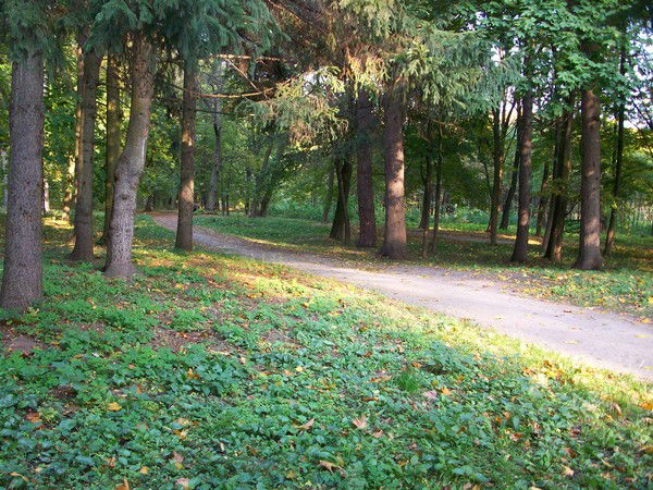 Татьяна Савчук