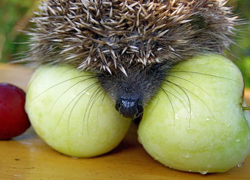 Валентина Кульпина