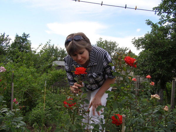 Светлана Хоменко