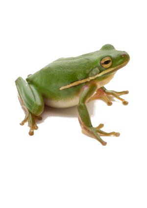 Владимир Лузан