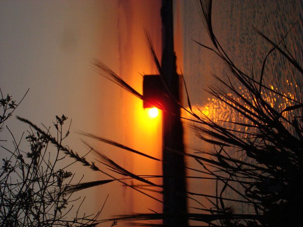 Виталий Боднар