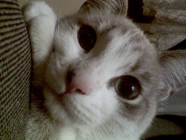 Татьяна Остапей