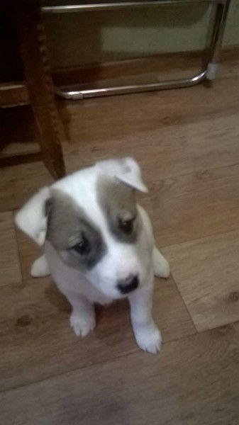 Σvǻ Ќǻŧƴśђēvǻ