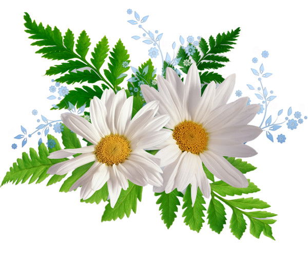 Римма Семенова